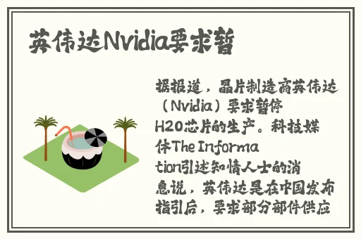大白兔衬衫里蹦蹦跳跳的是什么